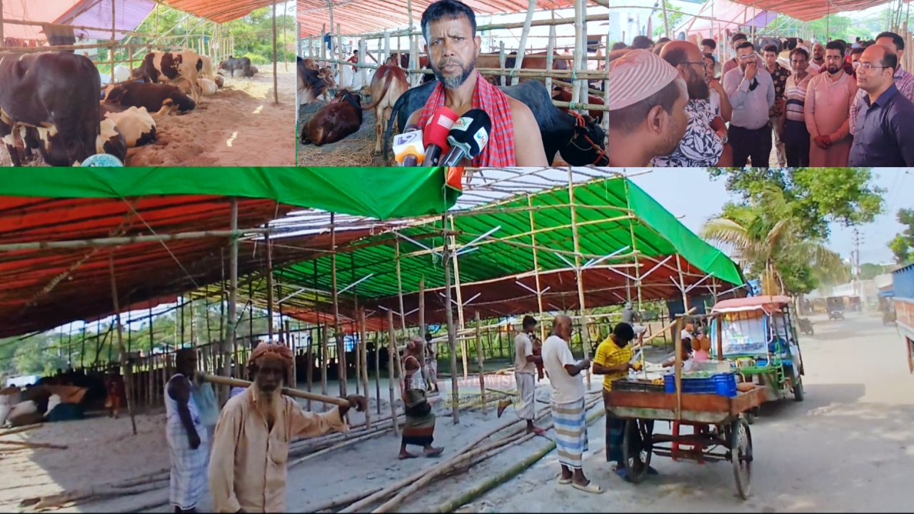 অনুমতি ছাড়াই পূর্বগোপালনগরে কুরবানির পশুর হাট, ব্যাপারীদের বিভ্রান্তির অভিযোগ,তদন্তে প্রশাসন 