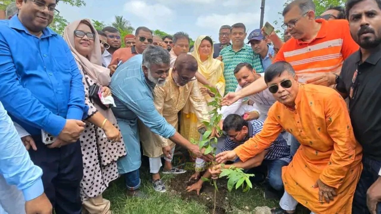 নারায়ণগঞ্জে ৫০ হাজার গাছ লাগানোর ঘোষণা প্রশাসকের