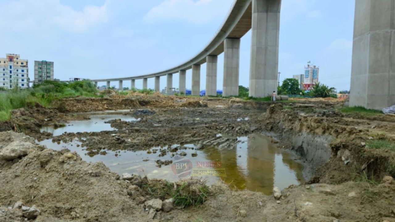পদ্মা রেল সংযোগ সেতুর পিলারের নিচে মাটি কাটার অ'ভিযোগ, ভাইরাল হতেই নড়েচড়ে বসল প্রশাসন
