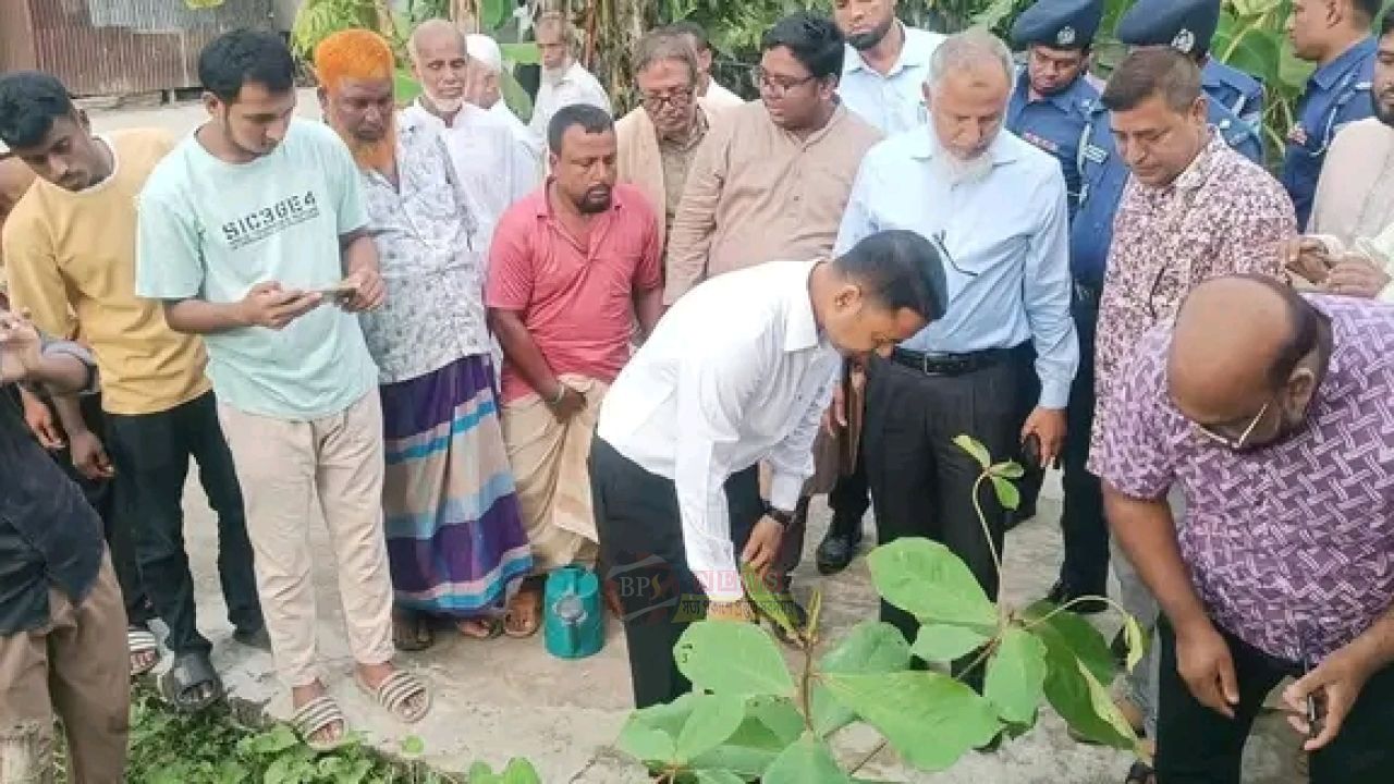 দাউদপুরে নির্বাচন কমিশনার, বৃক্ষরোপণ ও স্থানীয়দের সঙ্গে মতবিনিময়
