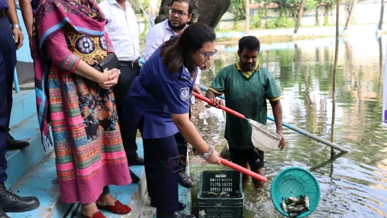 নারায়ণগঞ্জ পুলিশ লাইন্স পুকুরে মৎস্যসম্পদ বৃদ্ধির উদ্যোগ